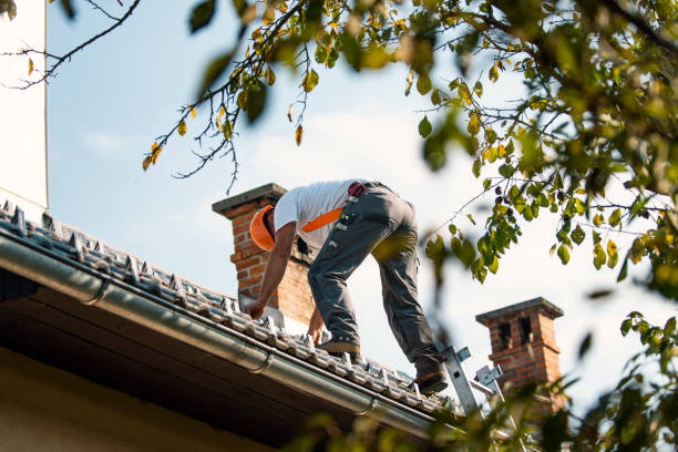 Best Flat Roof Repair Services  in Earlham, IA